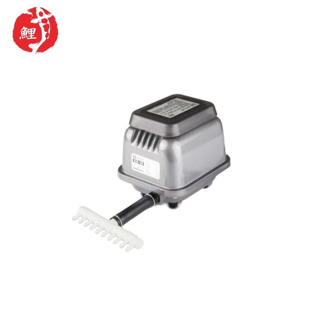 SUNSUN HJB-50 légpumpa