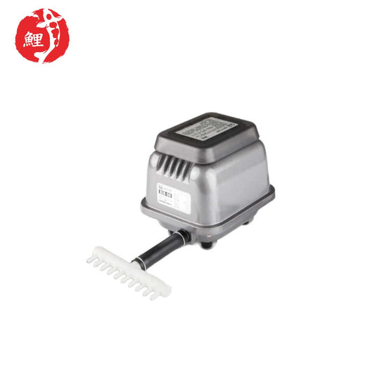 SUNSUN HJB-50 légpumpa